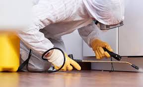 Emergency Pest Control Services in Esperance, WA